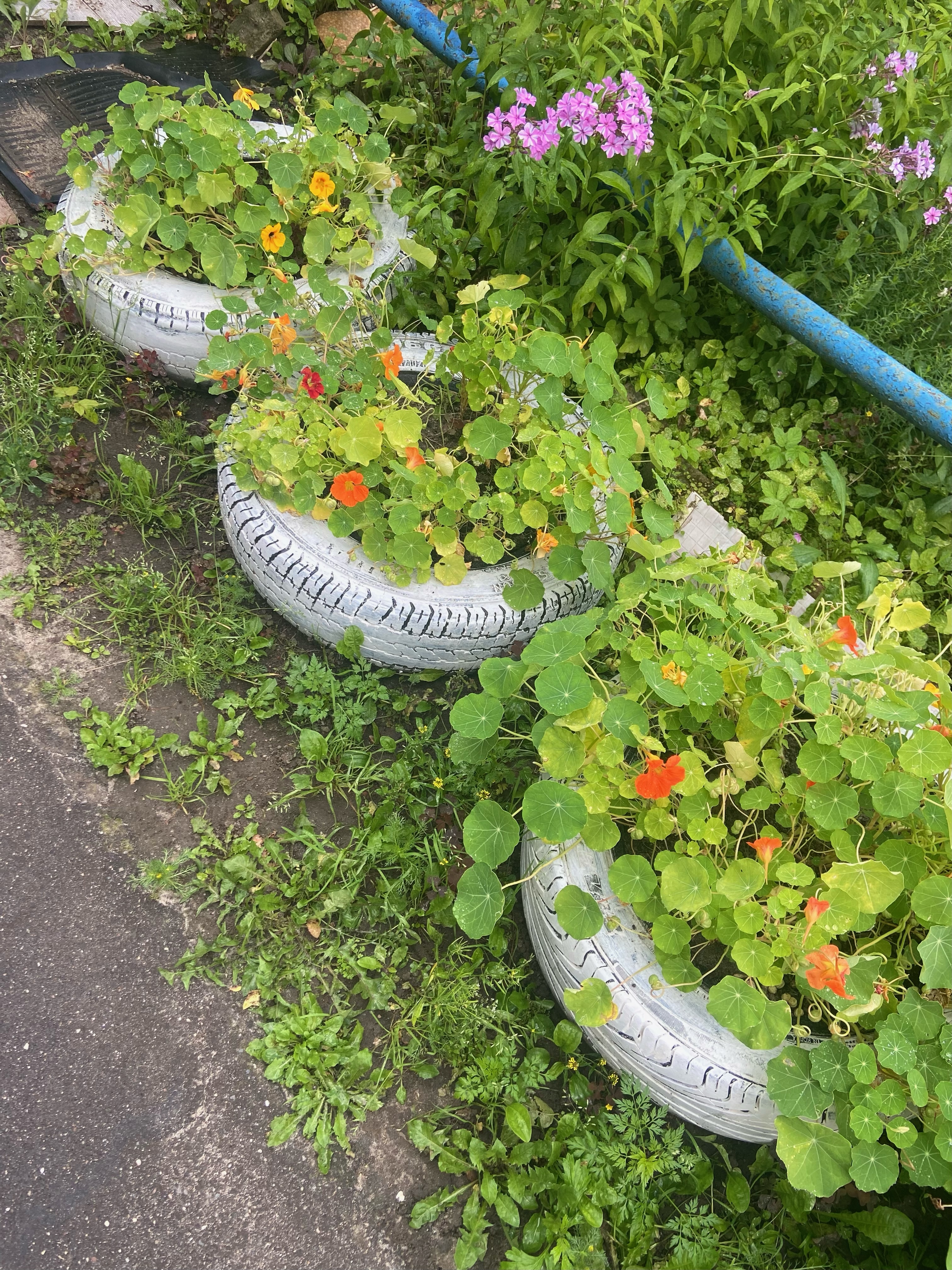 Утилизация покрышек