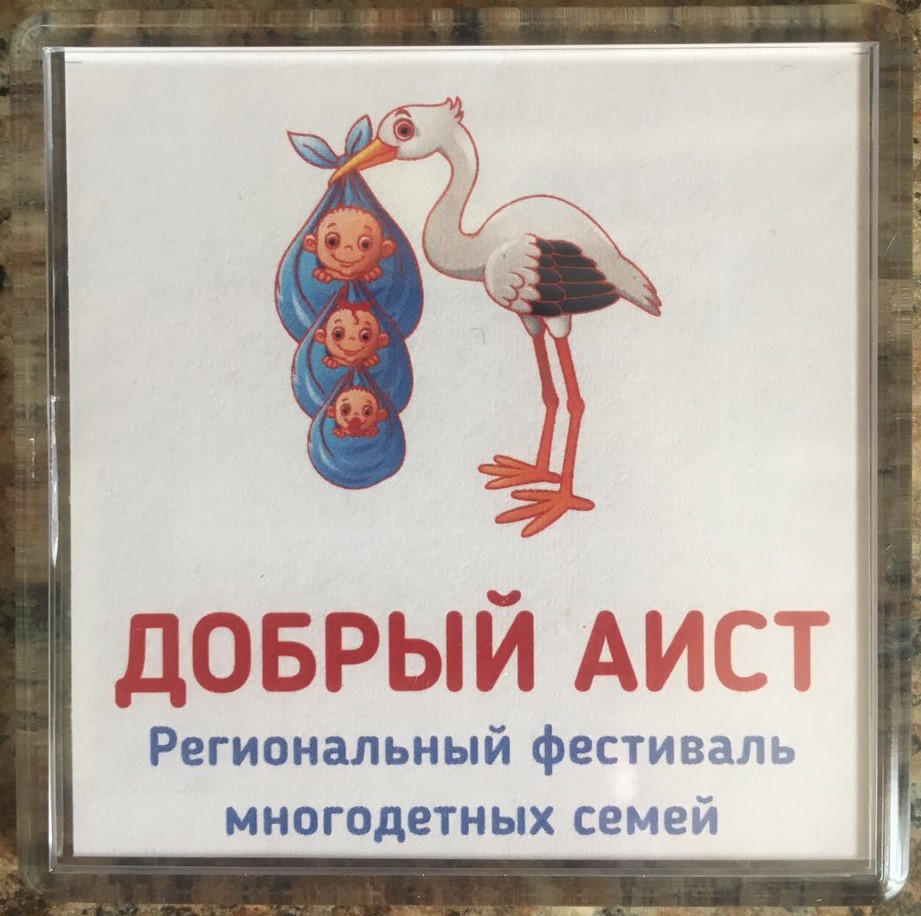 Подведены итоги Регионального фестиваля многодетных семей «Добрый аист».