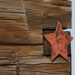 Общественная палата Ивановской области призывает жителей региона присоединиться к проекту "Дом со звездой".