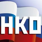 Госдума приняла в первом чтении законопроект о господдержке социально ориентированных НКО 