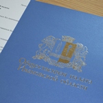 Члены Общественной палаты региона обсудили с губернатором условия проживания воспитанников в детских домах Ивановской области