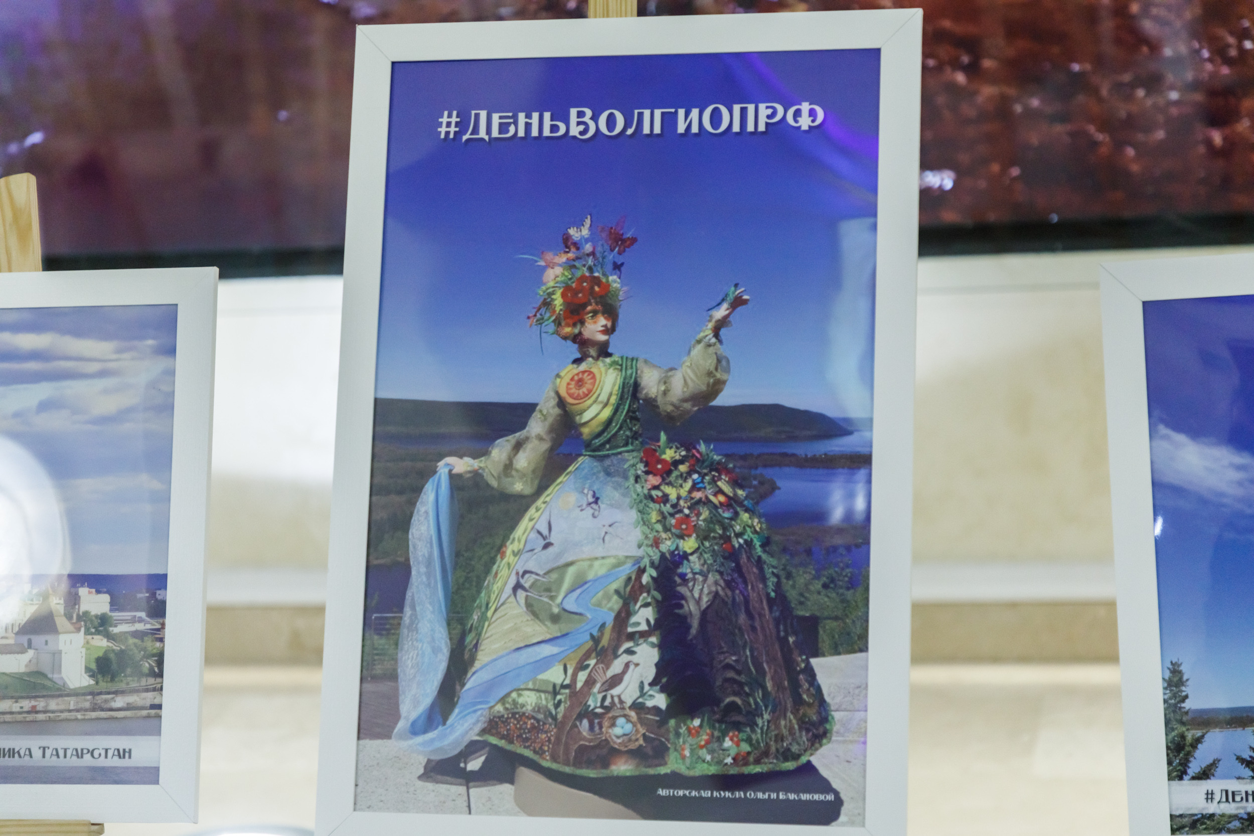 День Волги в Общественной палате России