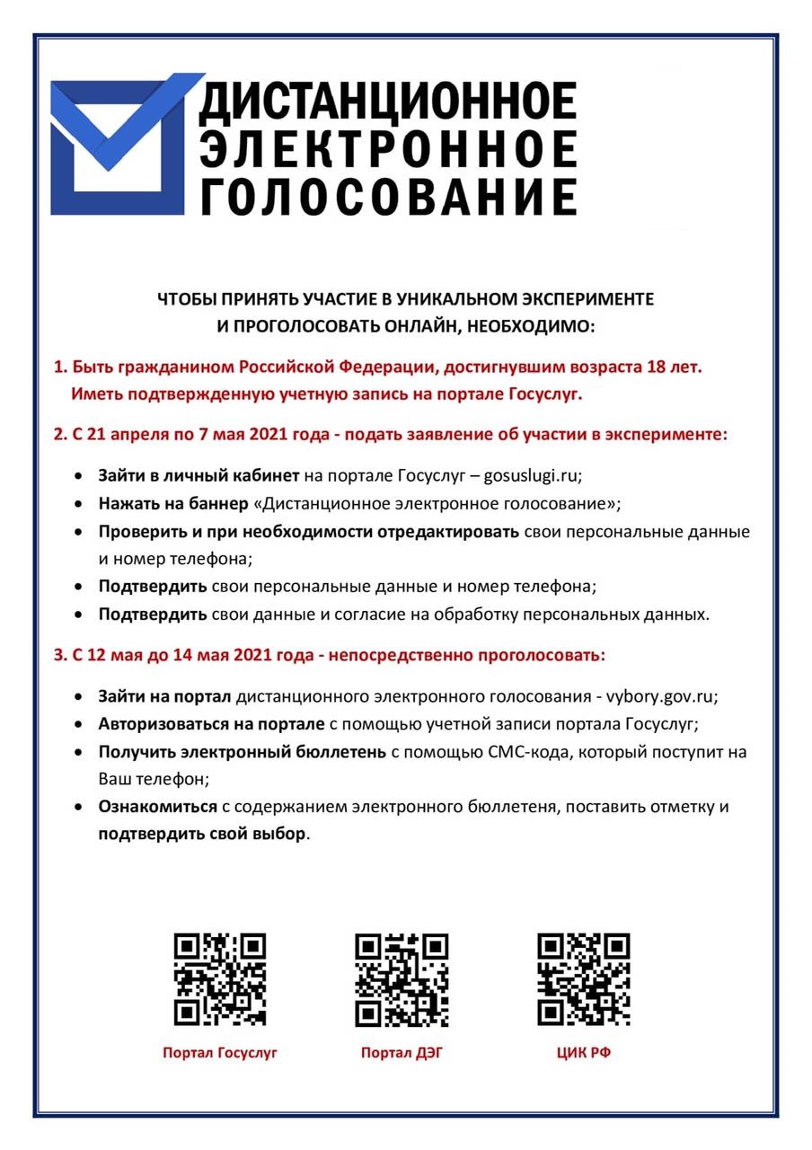 Общероссийская тренировка дистанционного электронного голосования