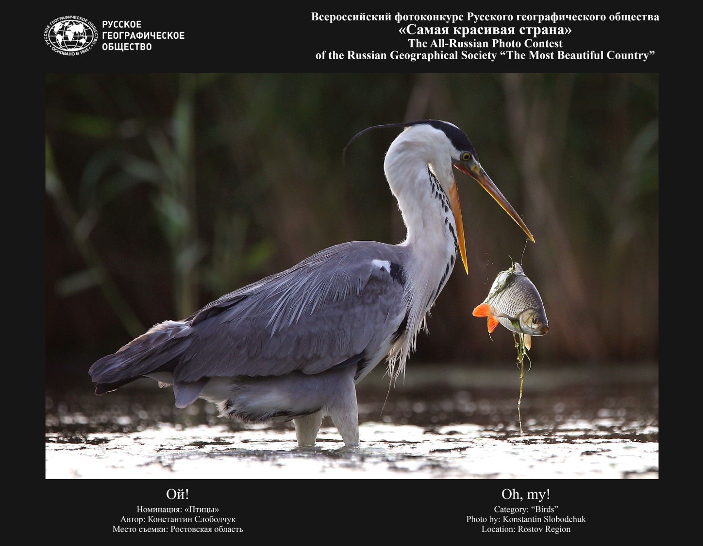 Россия. Самая красивая страна