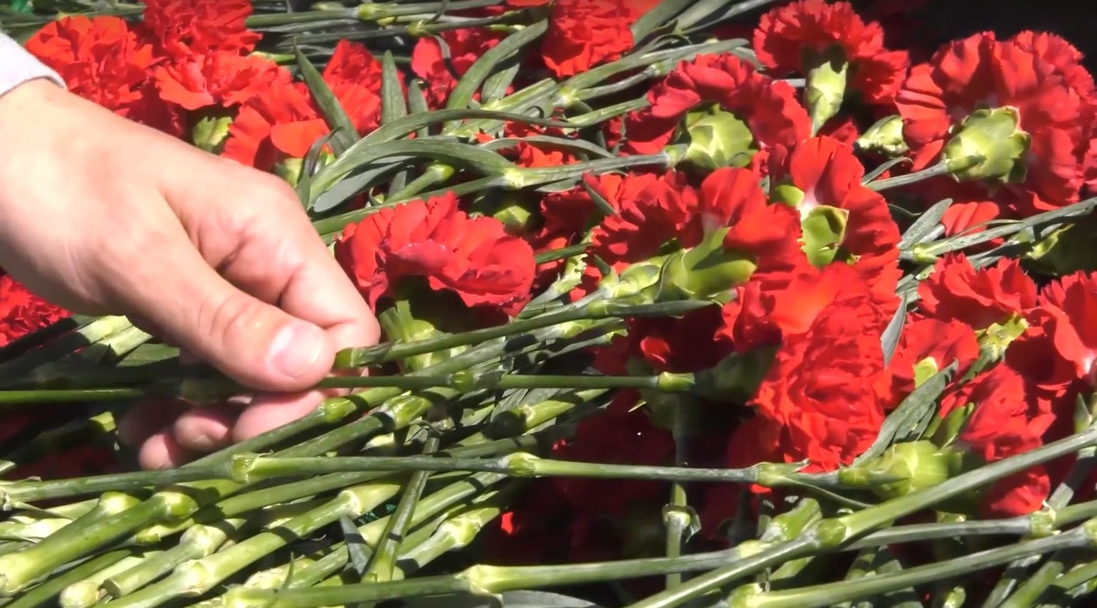 Памятные мероприятия в День памяти и скорби